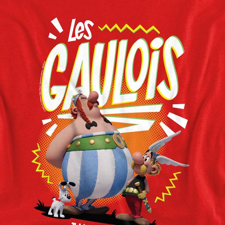 Produktbild Asterix & Obelix The Heroic Gauls Sweatshirt (S)