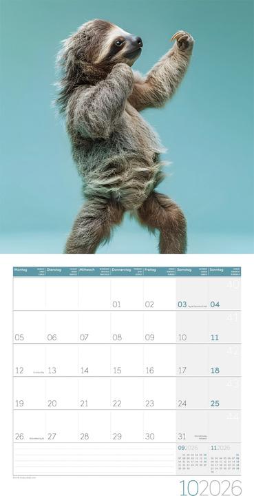 Produktbild Dancing Animals Kalender 2026