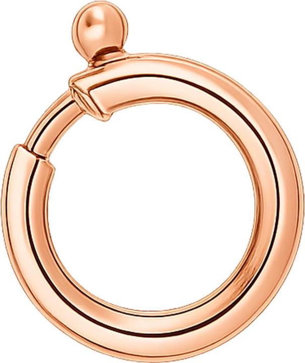Actual product image Leyda Clasp Spring Ring