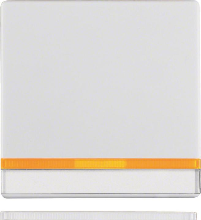 Actual product image Berker 16286089