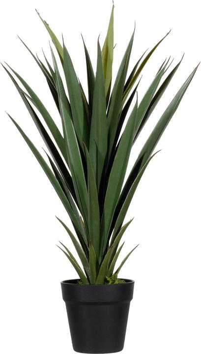 Image du produit Paperflow YUCCA Kunstpalme 60,0 cm (60 cm)