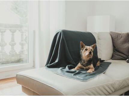 Produktbild Hunter Hundedecke Casper (Hund)