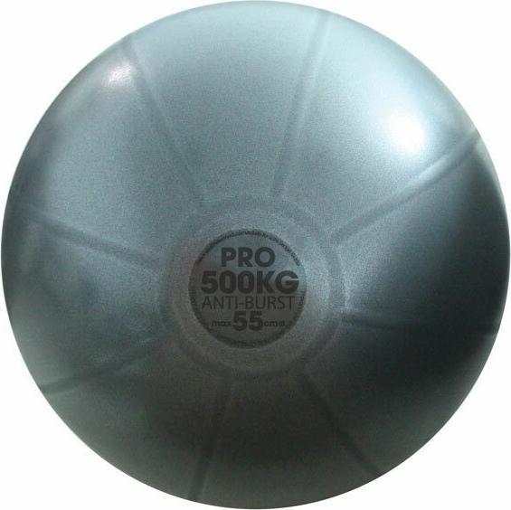 Image du produit Fitness Mad - Ballon d'exercice STUDIO PRO (55 cm)