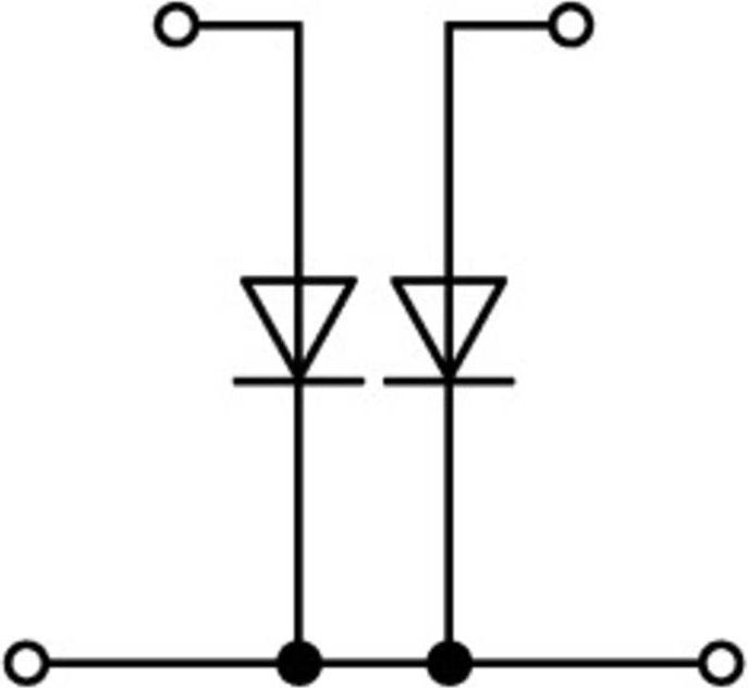 Produktbild Wago 870-542/281-488, 5 mm, 70 mm, 40 mm, 250 V
