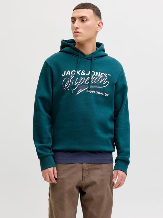 Produktbild Jack & Jones JJELOGO SWEAT HOOD 2 COL 25/26 NOOS (XL)