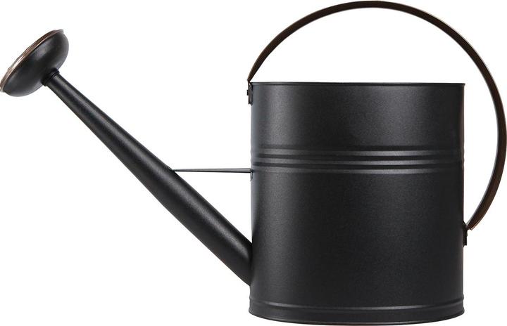 Produktbild Viana Dekorative giesskanne mit abnehmbarem Aufsatz und Vintage-Look (10 l)