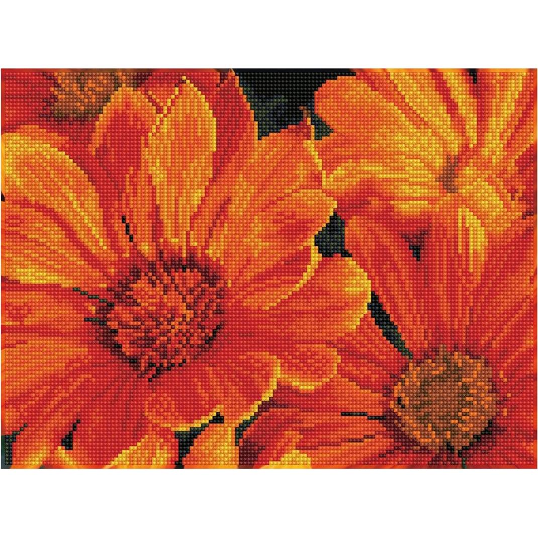 Diamond Dotz Diamond Painting Mittagsblume