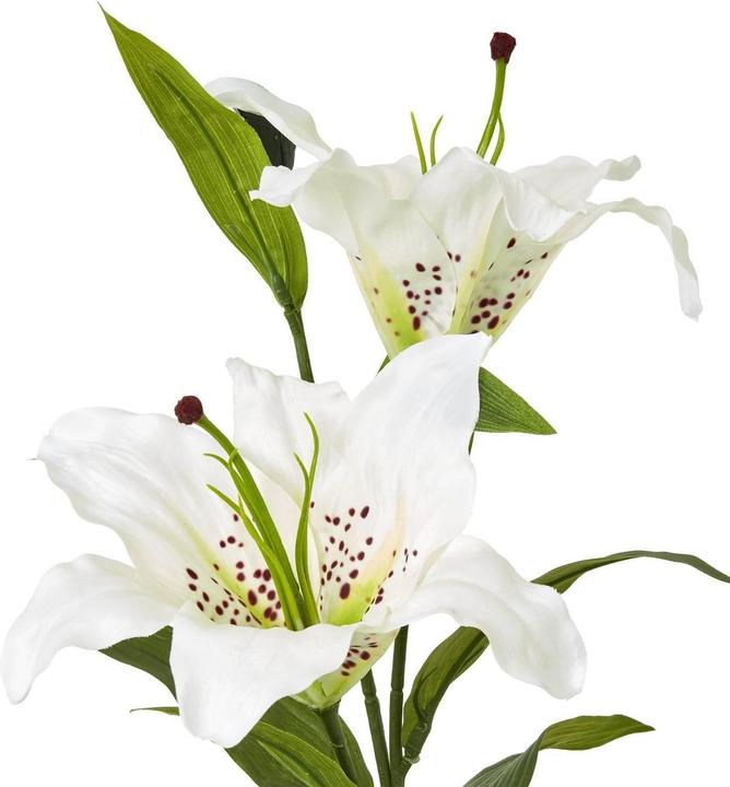 Immagine prodotto Hill Interiors Kunstblume Spray (87 cm)