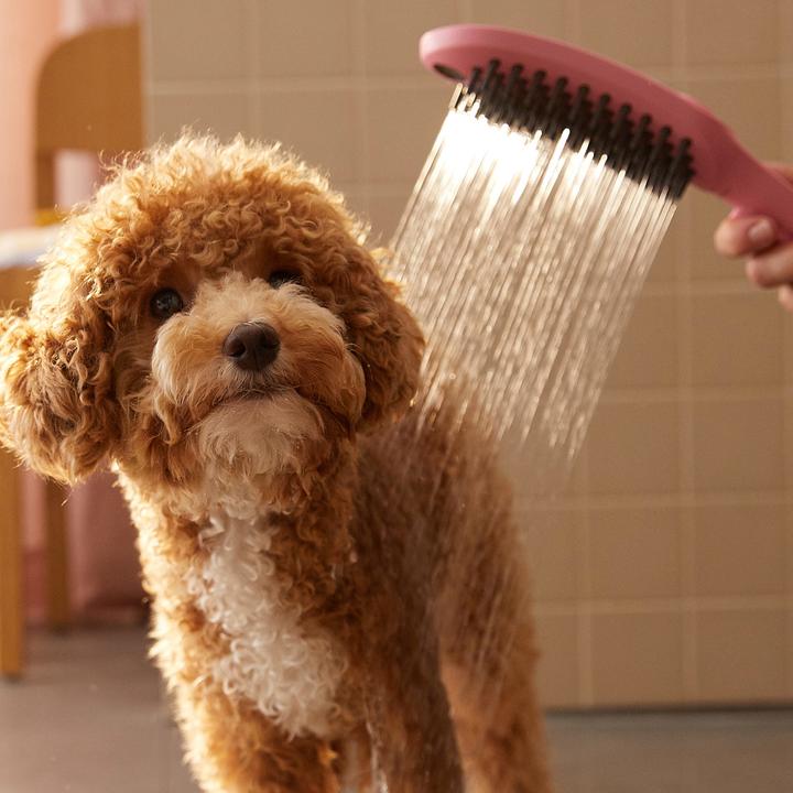 Produktbild hansgrohe DogShower Hundebrause 150 Select (3 Strahlarten, 7.60 l/min)