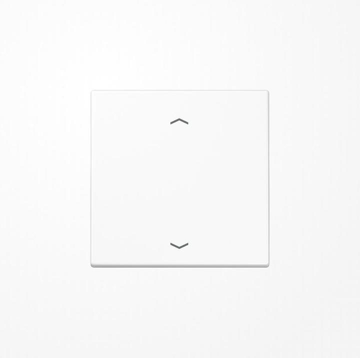 Actual product image JUNG Rocker 1t blind LS aws glz arrows LS1700PWW