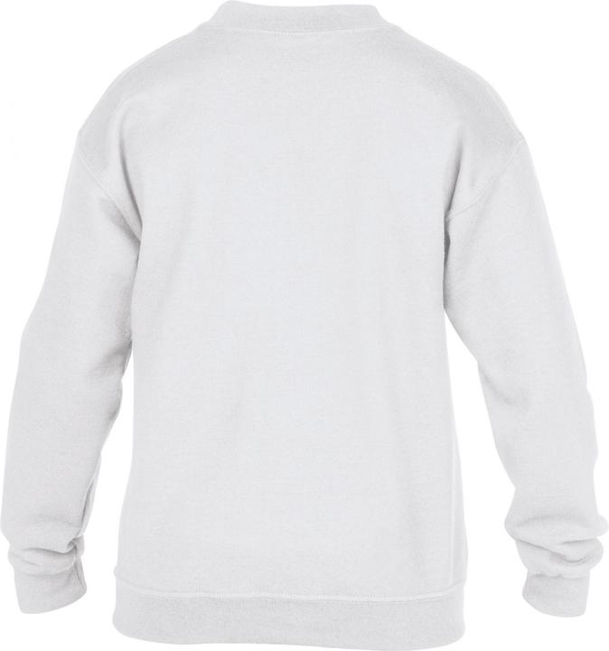 Image du produit Gildan Heavy Blend ® (12XL)