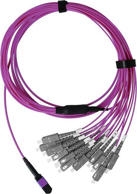 Actual product image BlueOptics Fibre optic MPO/8xSC duplex breakout cable OM4 2 metres (2 m)