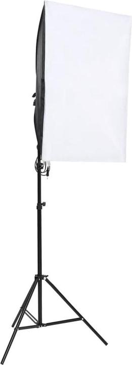 Image du produit vidaXL Fotostudio-Kit (300 cm, 210 cm)