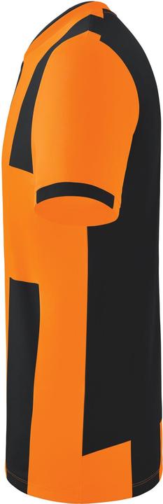Image du produit Erima Maillot Siena 3.0 (164)