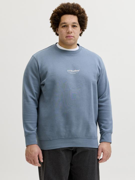 Produktbild Jack & Jones Jjesoho Sweat Crew Neck Noos Pls (7XL)