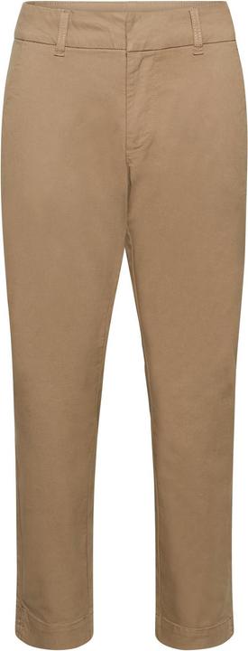 noce di cocco tostata