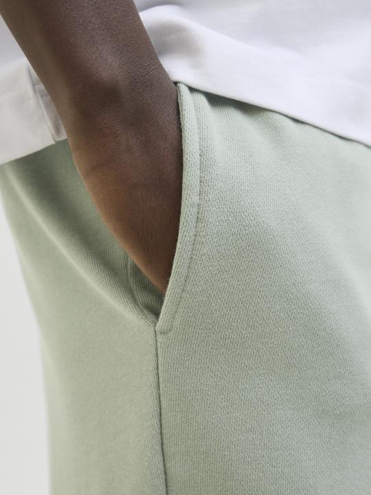 Produktbild Jack & Jones Regular Fit Shorts Shorts (XXL)