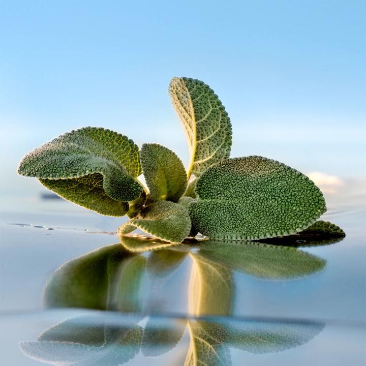 Immagine prodotto Azzaro Fragrance Wanted (Eau de parfum, 100 ml)