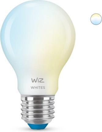 Actual product image WiZ frosted glass (E27, 806 lm, 1 x)