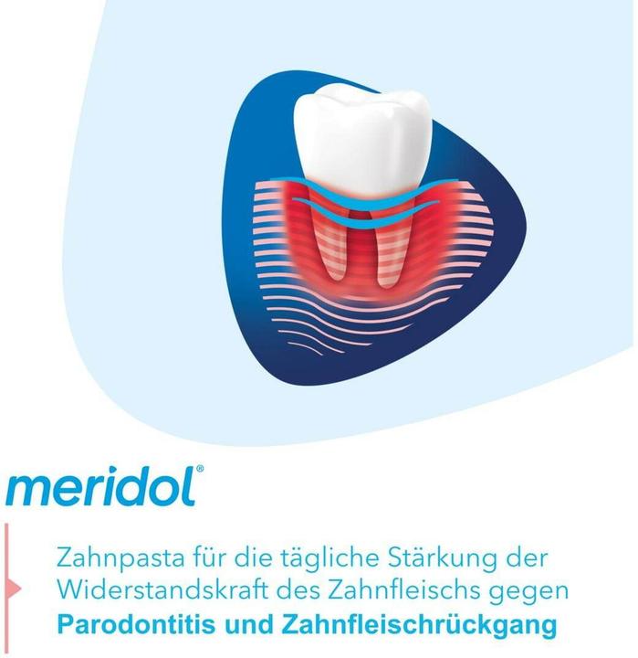 Actual product image Meridol Parodont Expert (75 ml)