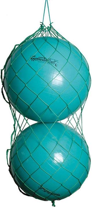 Actual product image Huck Ballnetz