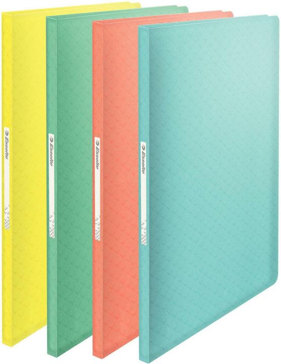 Immagine prodotto Esselte Colour'ICE Sichtbuch A4 60 Blatt (A4, 1x)
