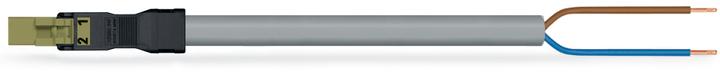 Actual product image Wago confect. Connection cable (2 m)