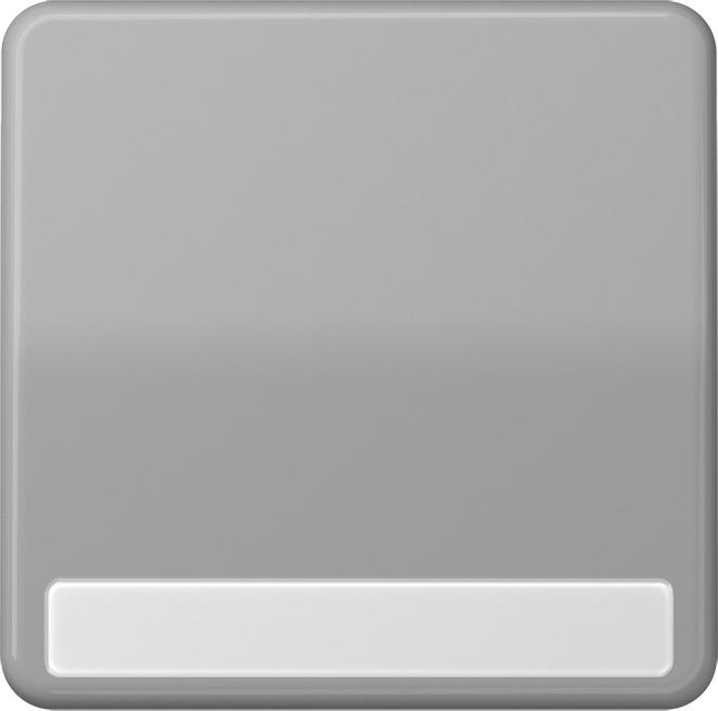 Actual product image JUNG Rocker switch CD gr glz BSF CD590NAGR