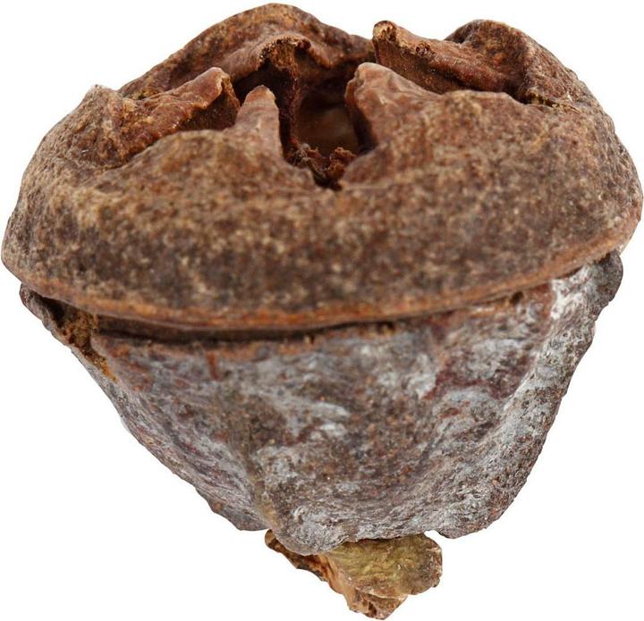 Immagine prodotto Creativ Company Frutti di eucalipto