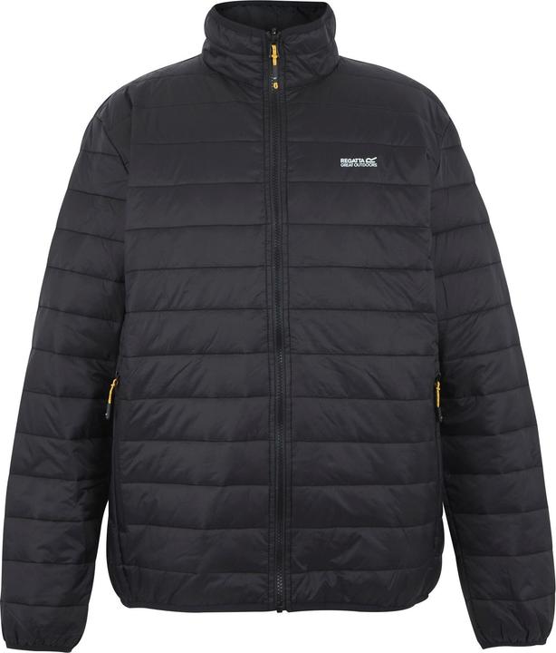 Actual product image Regatta Wentwood (XXL)