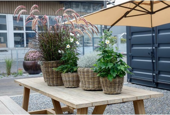 Actual product image Jaco Rattan Basket (22 cm)