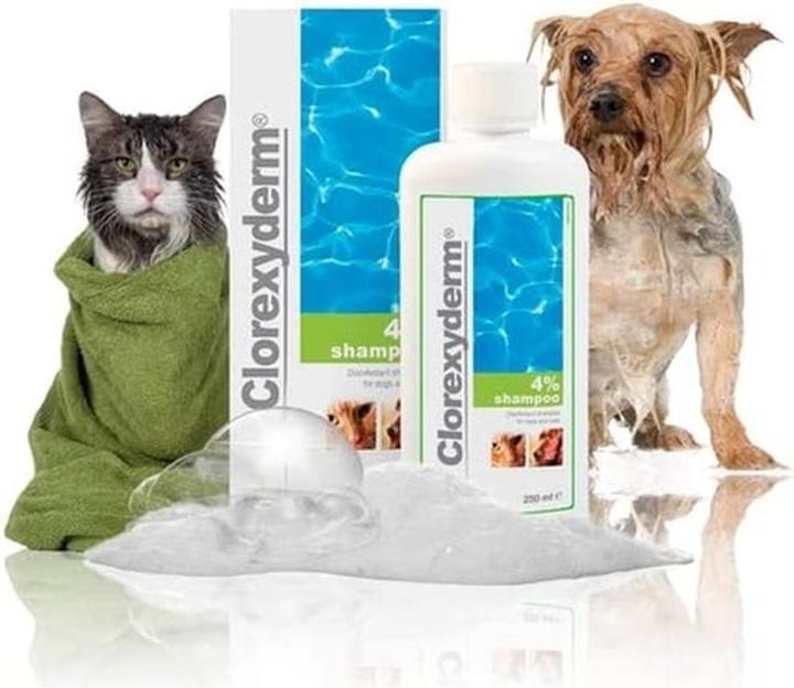 Produktbild Clorexyderm Clorhexyderm Shampoo (Hund, 250 ml)