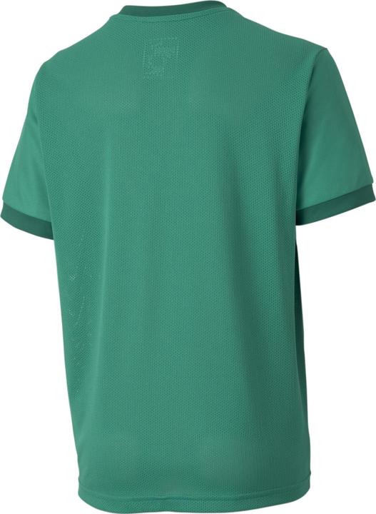 Actual product image Puma teamGOAL 23 Jersey jr-704160 (128)