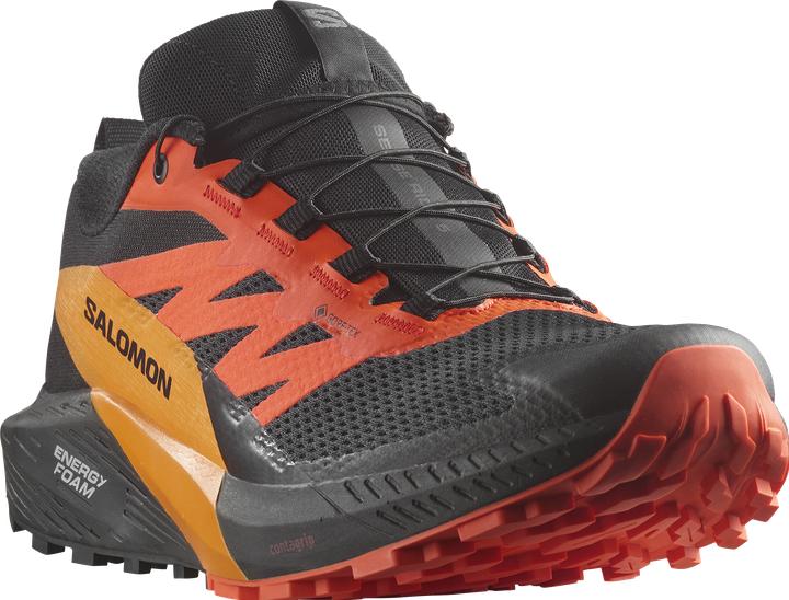 Image du produit Salomon Sense Ride 5 GTX Chaussures de trail running pour hommes (44)