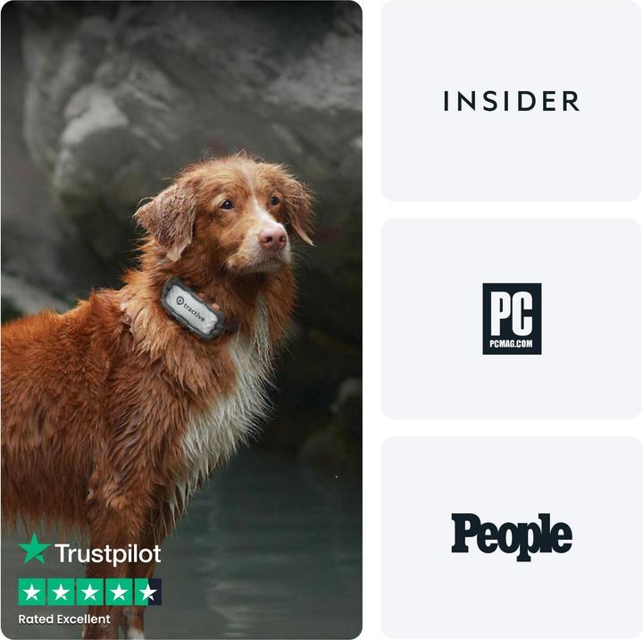Produktbild Tractive GPS Dog (XL, Hund, Spazieren, Jogging, Hundesport)