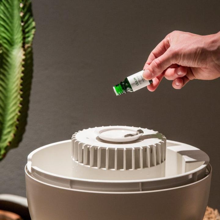 Produktbild Duux Ovi (30 m²)