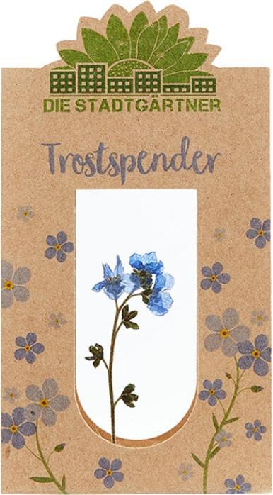 Produktbild Die Stadtgärtner Trostspender (Trockenblumen)