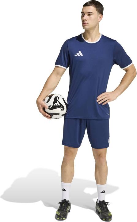 Actual product image Adidas Entrada T-Shirt (XL)