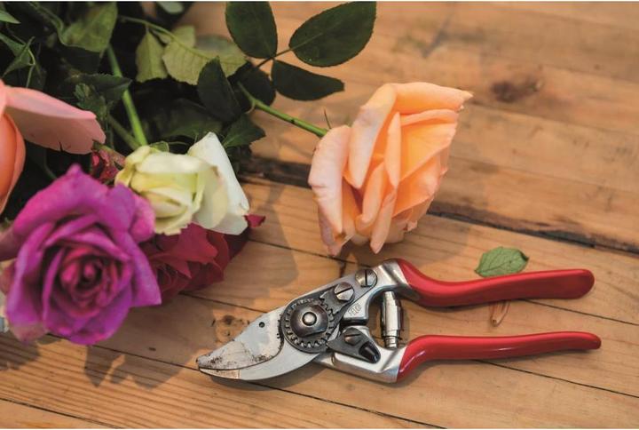 Produktbild Felco Gartenschere 14