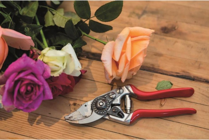 Produktbild Felco Gartenschere 14