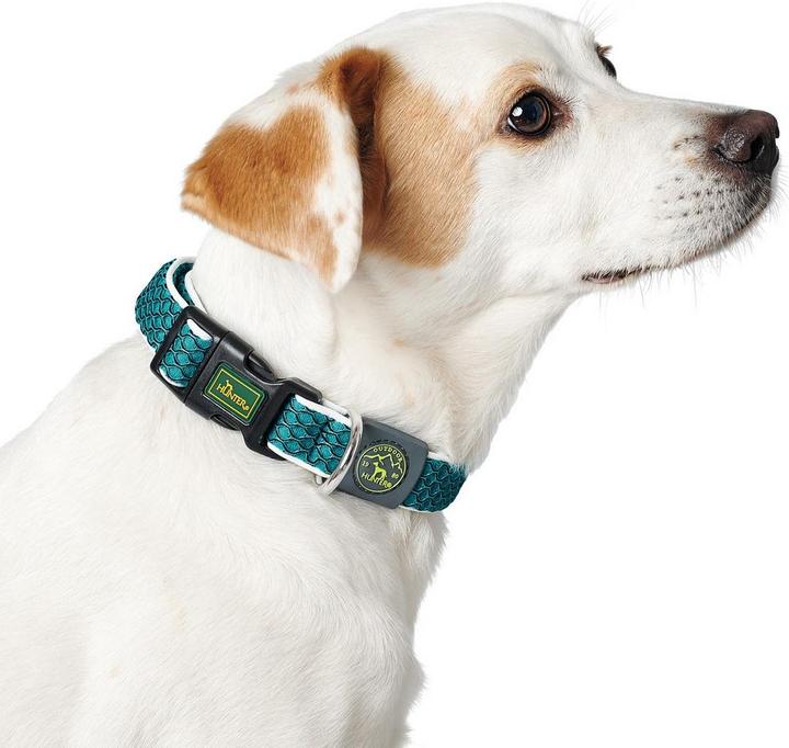 Produktbild Hunter Hundehalsband Hilo Vario Basic (S, M, Hund)