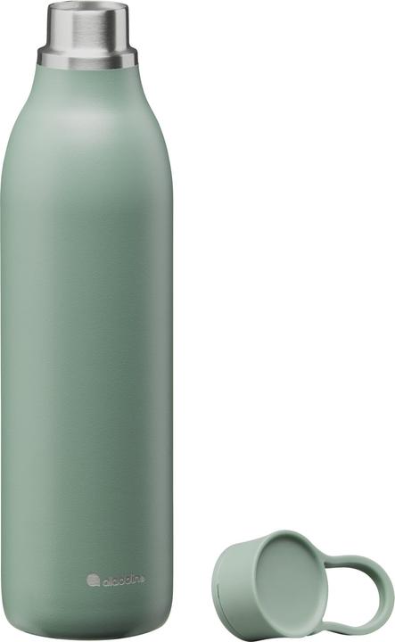 Actual product image Aladdin CityLoop Thermavac eCycle Drink Bottle 0.6L Sage Green (0.60 l)
