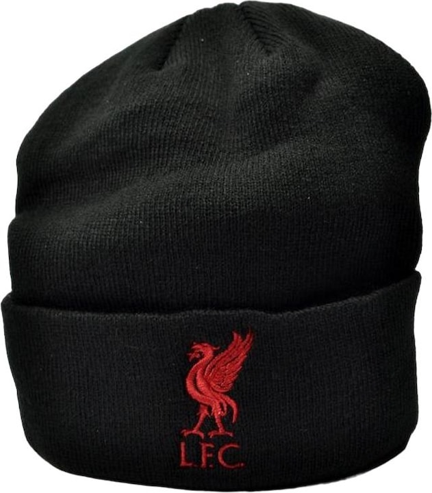 Produktbild Score Draw Erwachsene Bronx Liver Bird gestrickt aufgedrehte Manschette Beanie (One Size)