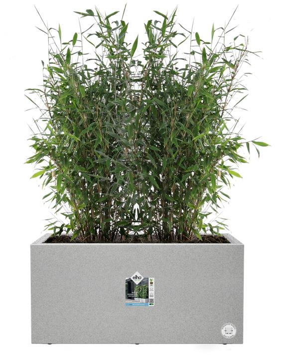 Produktbild Elho Vivo Next Lang (800 cm)