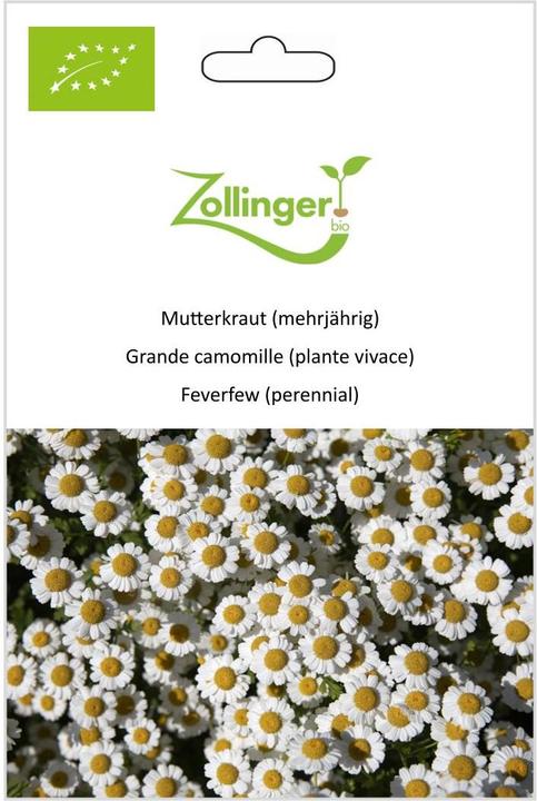 Immagine prodotto Zollinger Bio Motherwort (perenne)