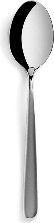 Image du produit Revol Courchevel cuillère de table acier inoxydable mat (Scoops)