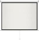 Actual product image Art ER M100 4:3 (100", 4:3)
