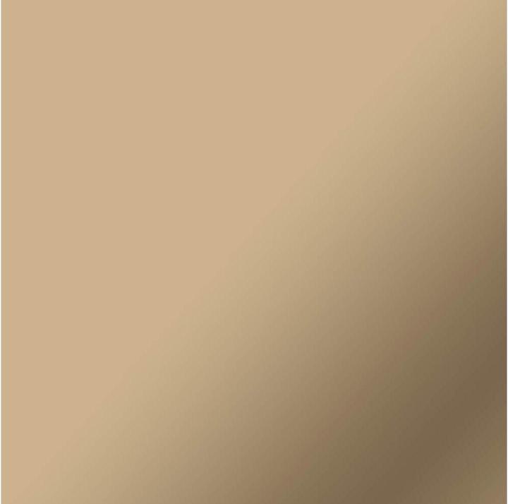 Actual product image Cricut Smrtvnl P Mat Metal Champagne 13in X 3ft