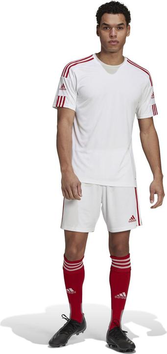 Produktbild adidas Squadra 21 Trikot Kurzarm (XL)