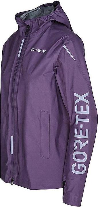 Immagine prodotto Gore Wear Concurve GTX (S)